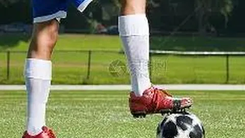 海滨独家预测：2026017期3D号码揭秘，每日精选胆码不容错过！