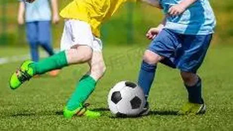 【神秘尼姑揭秘】双色球2026018期独家预测：兰码必中组合：02、09、14，财运亨通，不容错过！